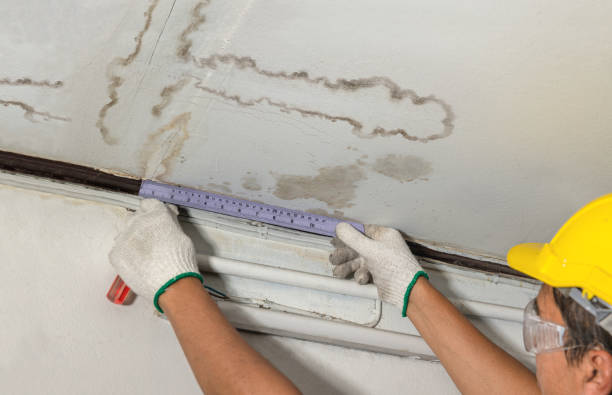 Reliable Burst Pipe Cleanup contractor in Fingal, ND by Water Damage Irwin